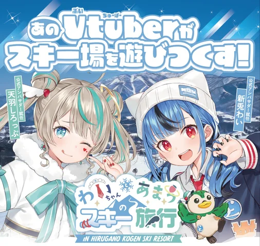 全国どこでも送料無料！ 154001-2- 人形